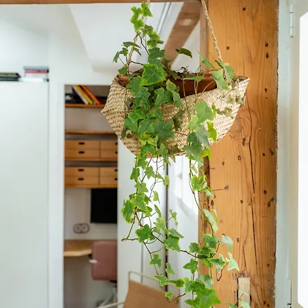 Apartment Veeve - The Groom's Pick *